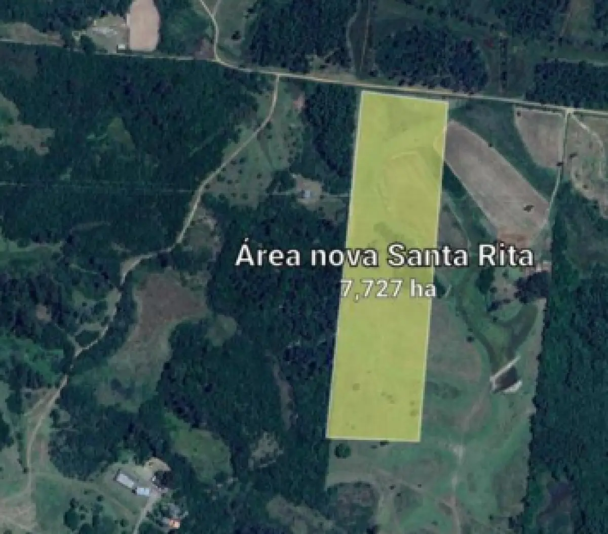 LOTE 005 - LOTE 005