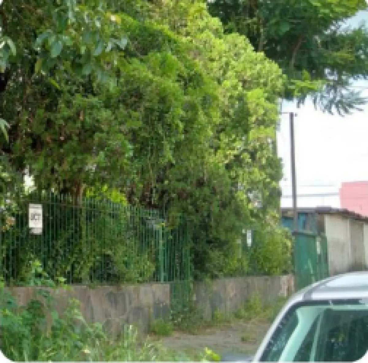 LOTE 001 - TERRENO EM SAPUCAIA DO SUL