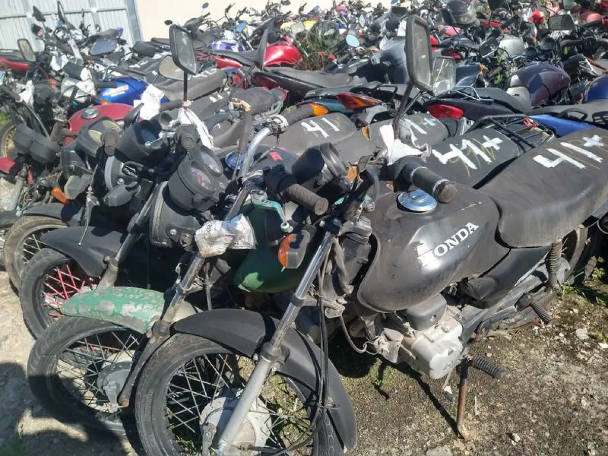 LOTE 0041