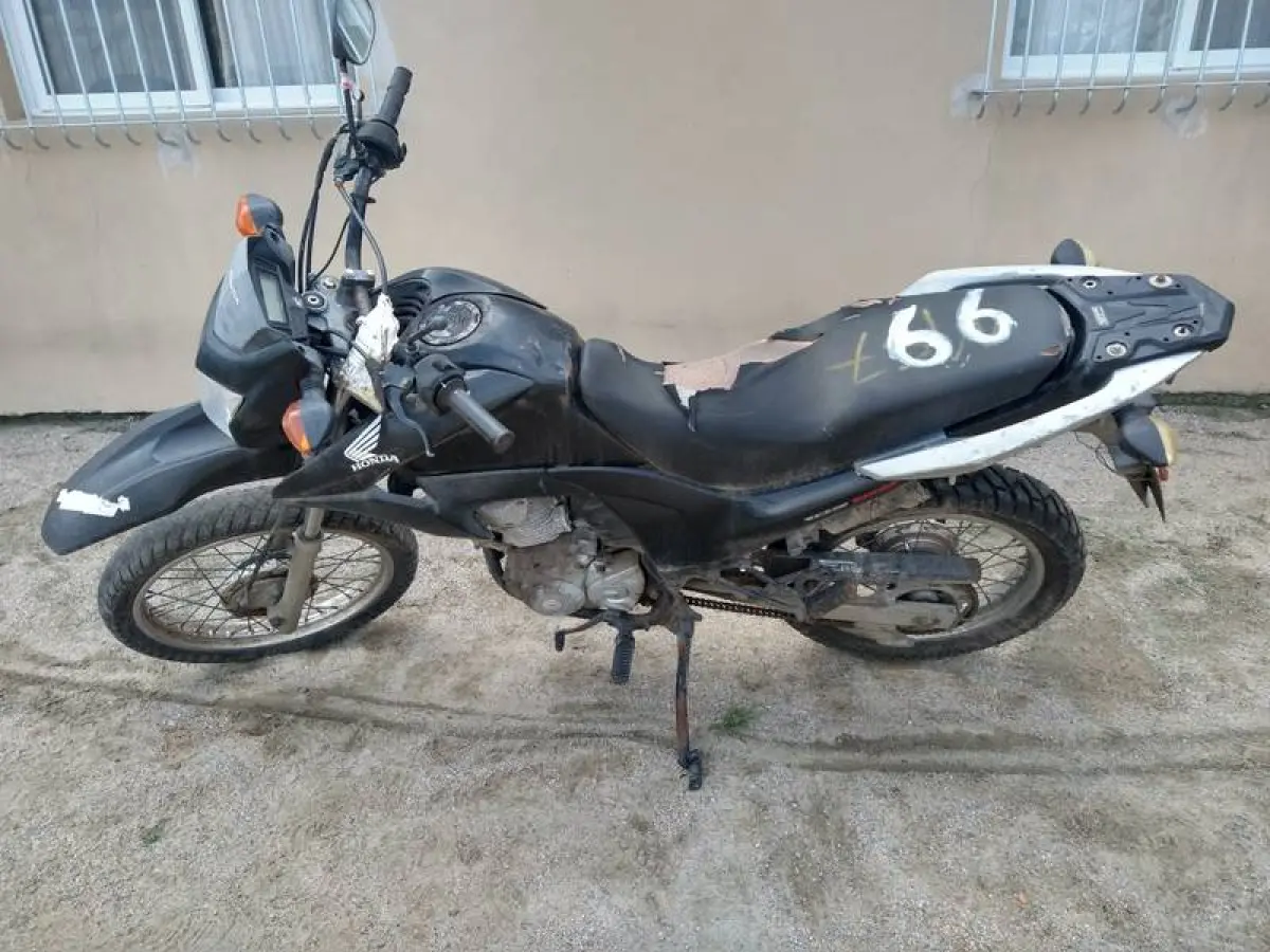 LOTE 0066