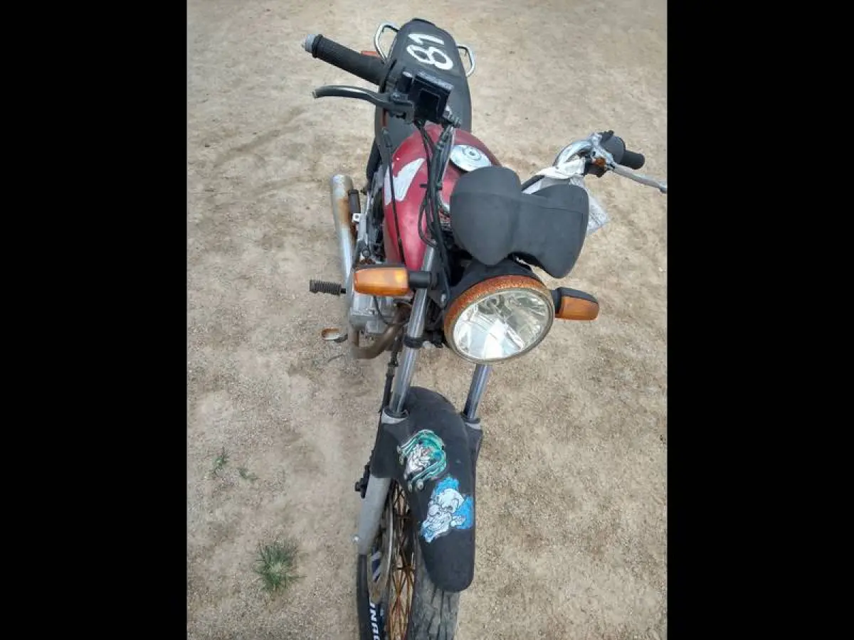 LOTE 0081