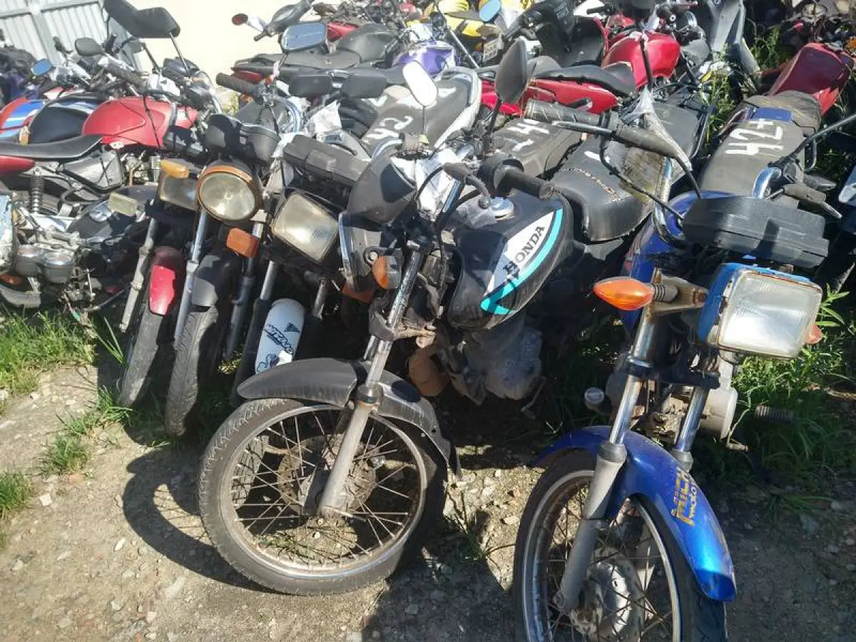LOTE 0042
