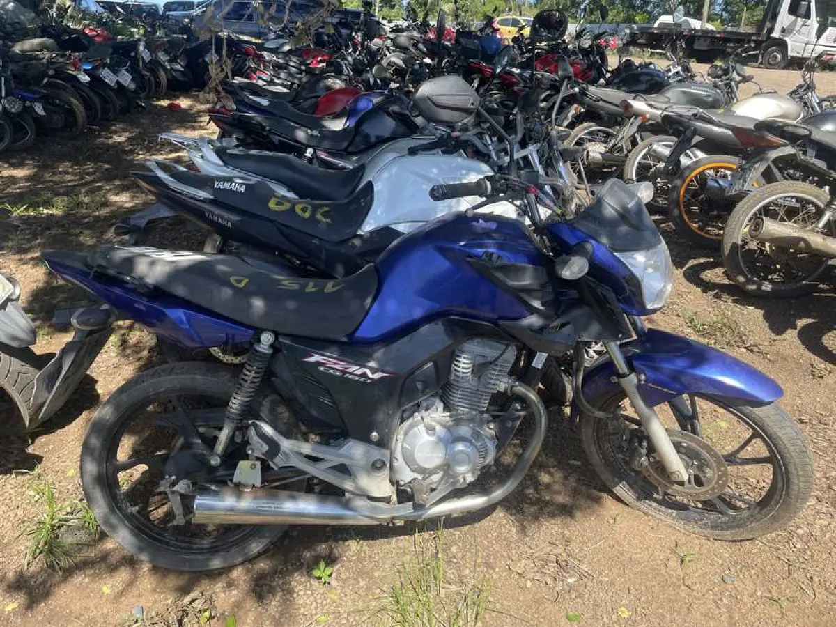 LOTE 0115