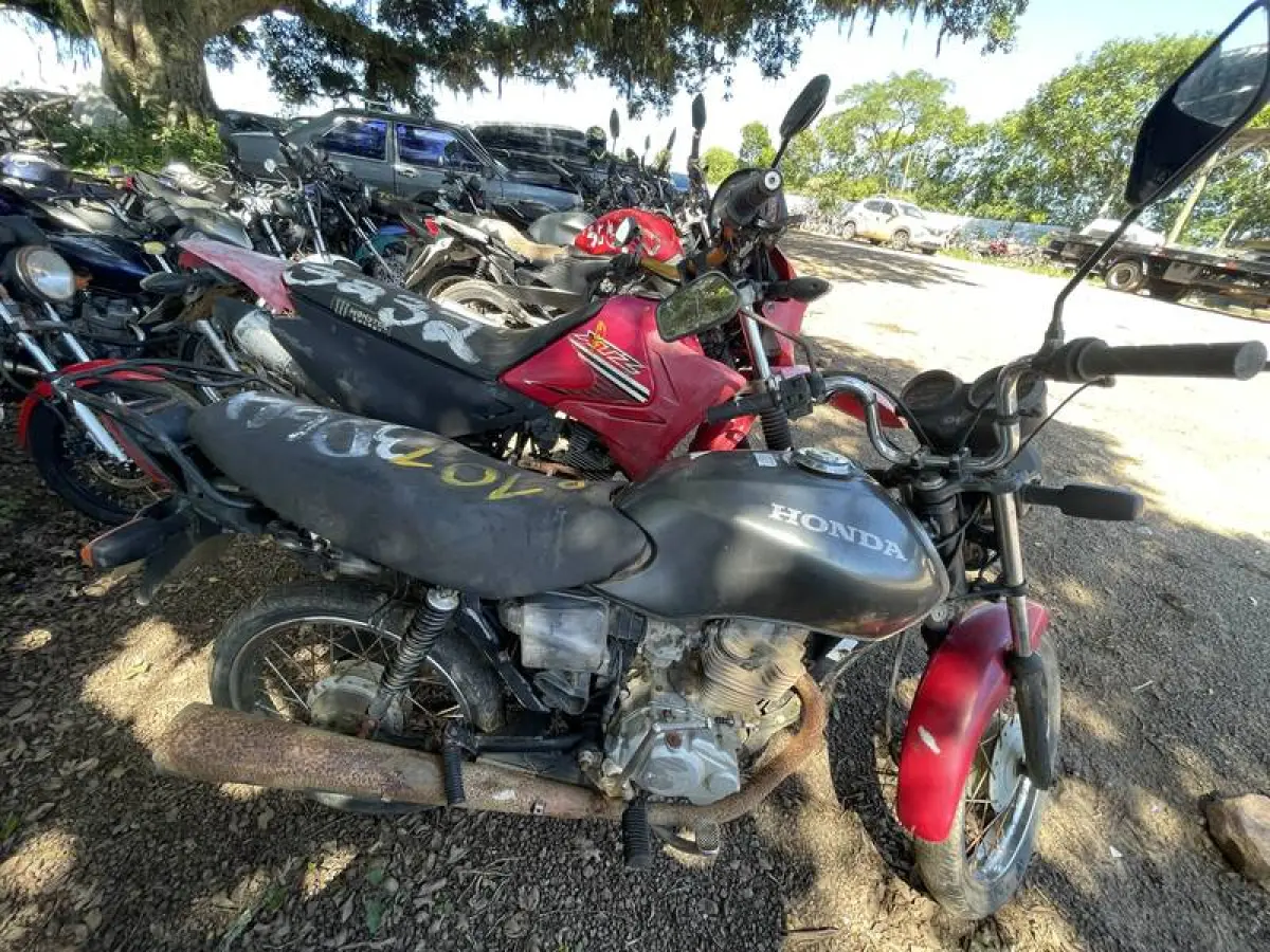 LOTE 0101
