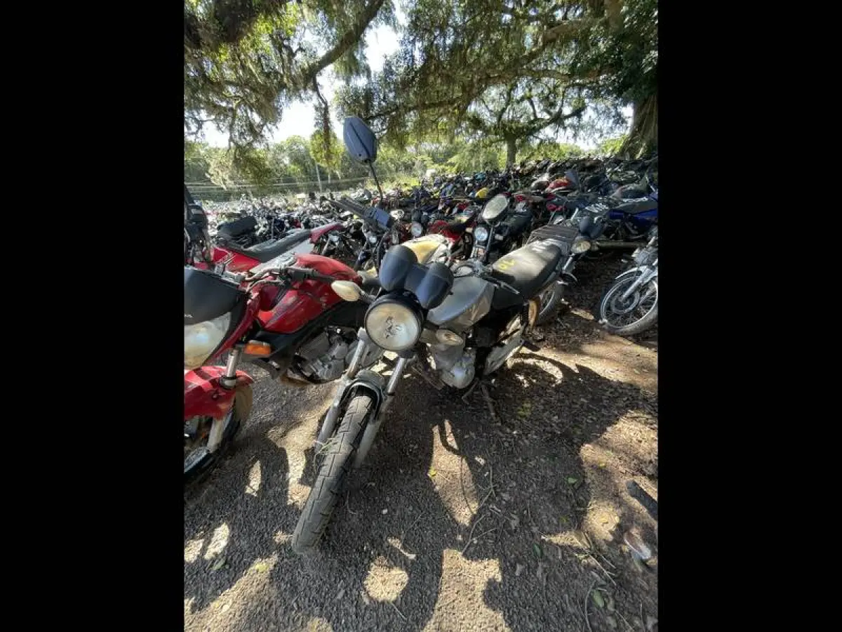 LOTE 0109