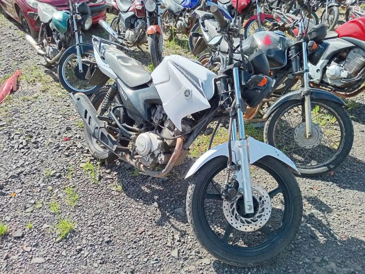 LOTE 0191