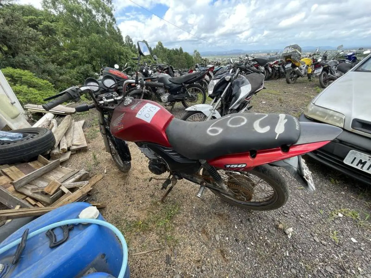 LOTE 0043