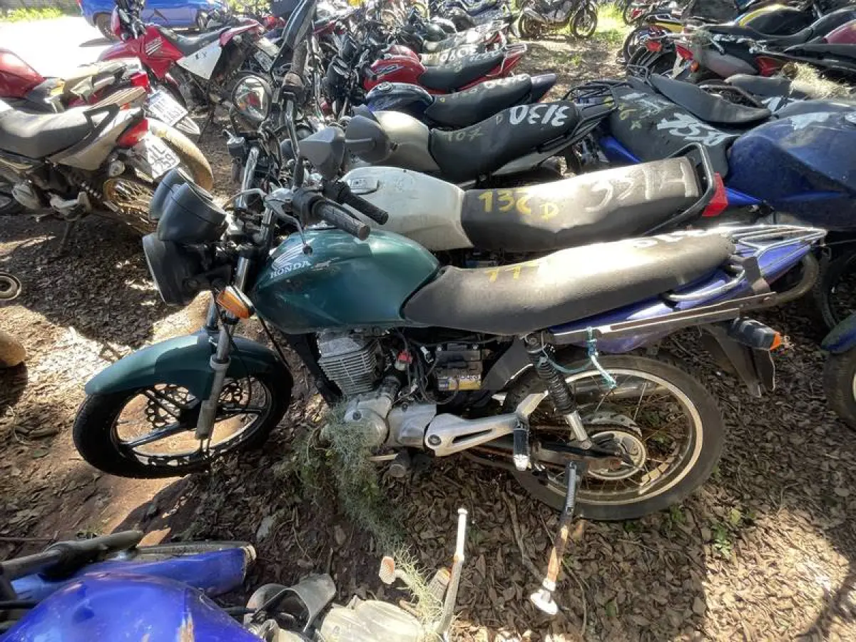 LOTE 0119