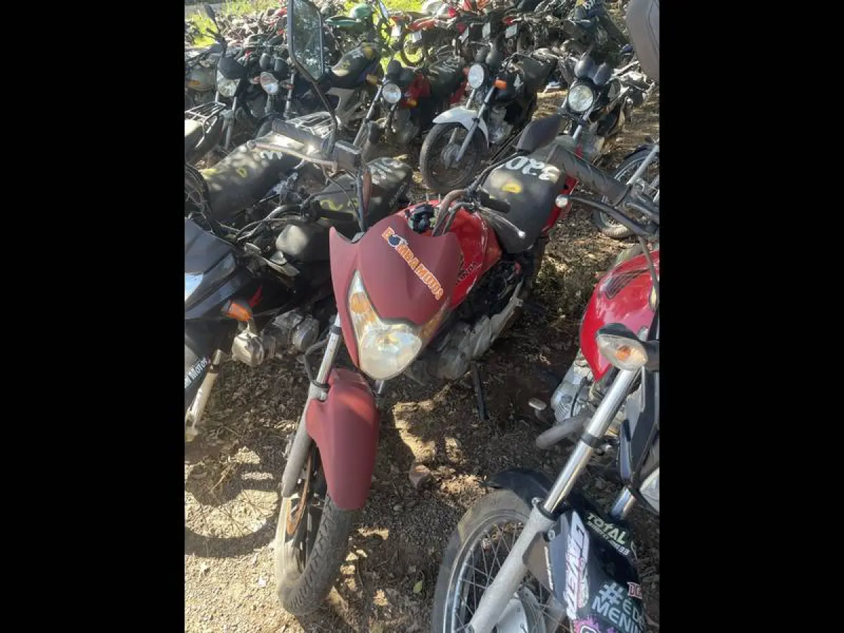 LOTE 0123