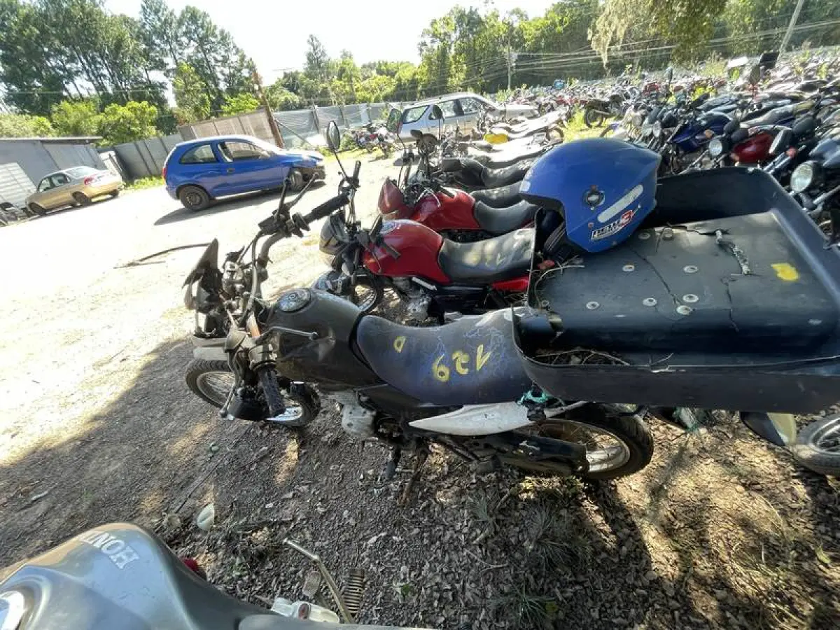 LOTE 0129