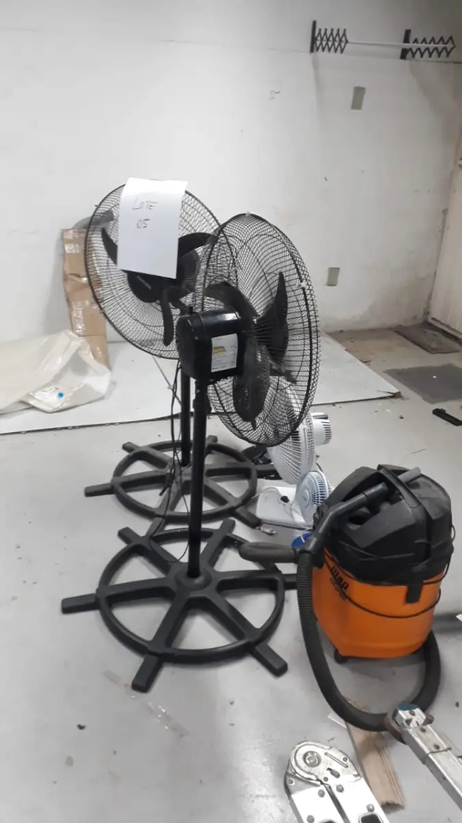 LOTE 006 - Cinco ventiladores de diversos tamanhos e aspirador de pó 220v