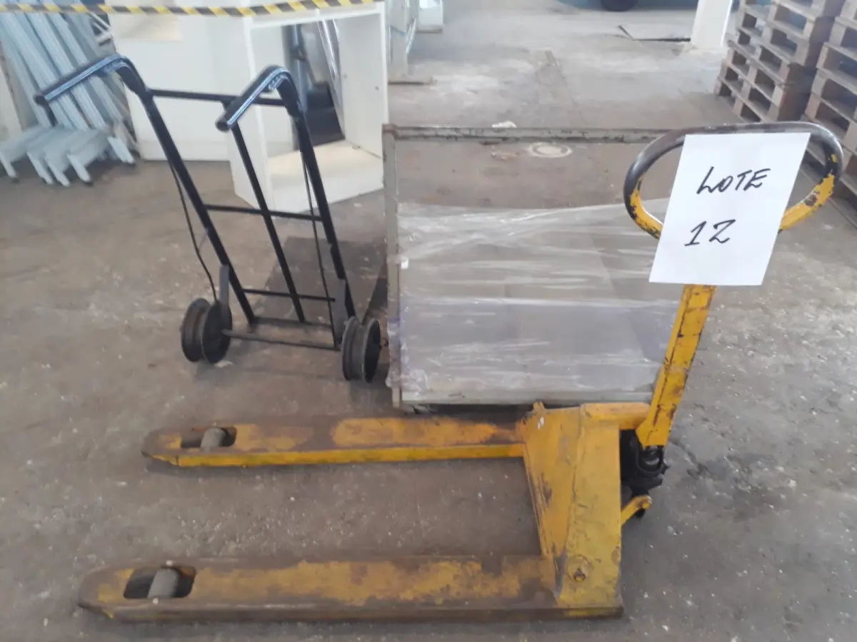 LOTE 012 - Uma Paleteira e dois carrinhos de bancada.