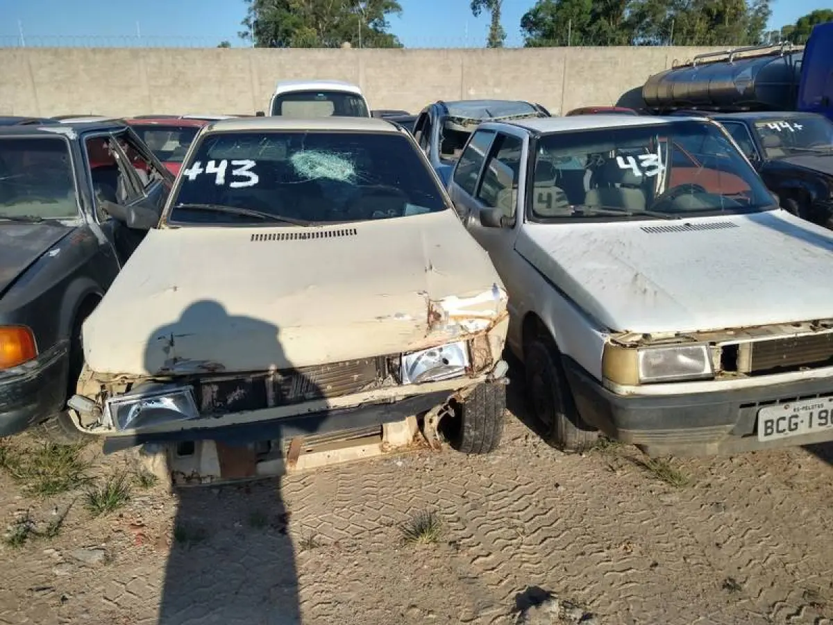 LOTE 0043