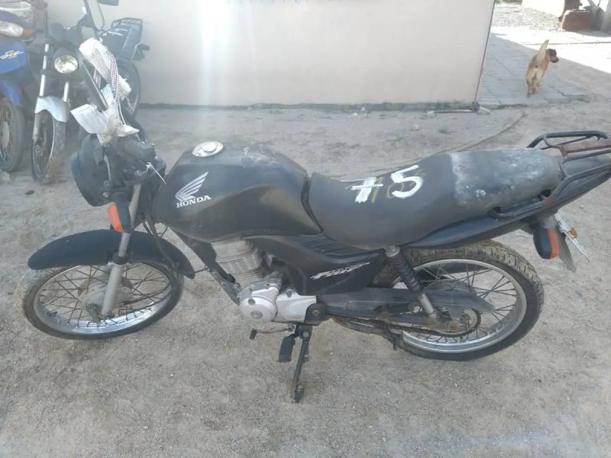 LOTE 0075