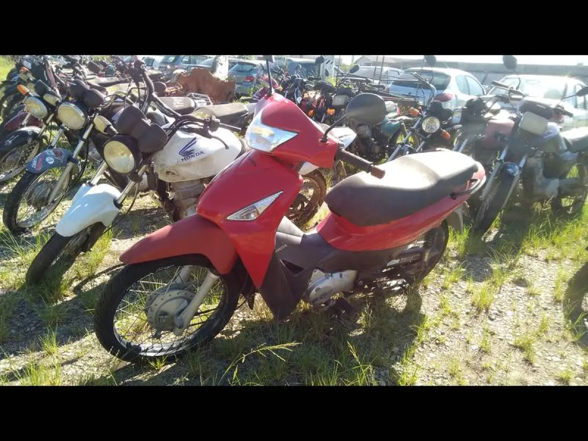 LOTE 0131