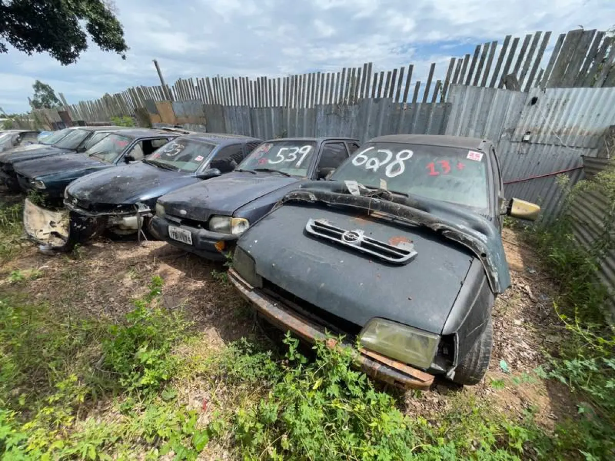 LOTE 0013