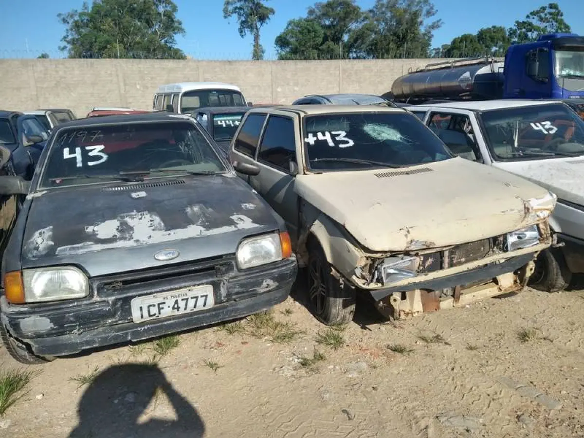 LOTE 0043