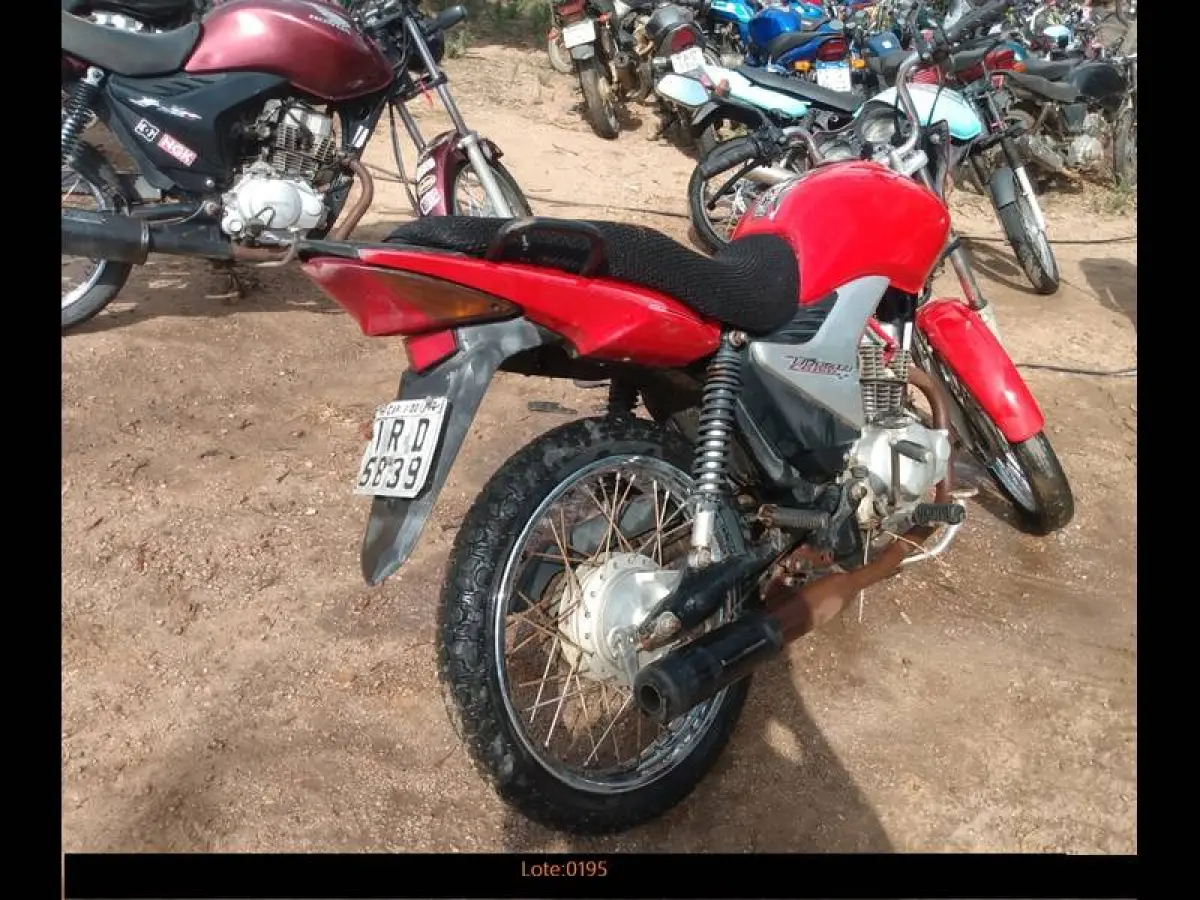 LOTE 0195