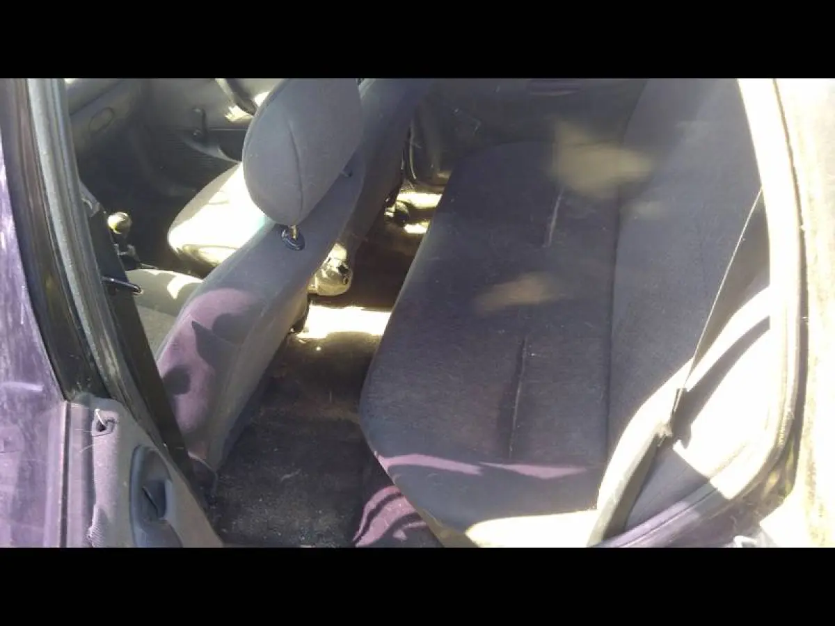 LOTE 0166