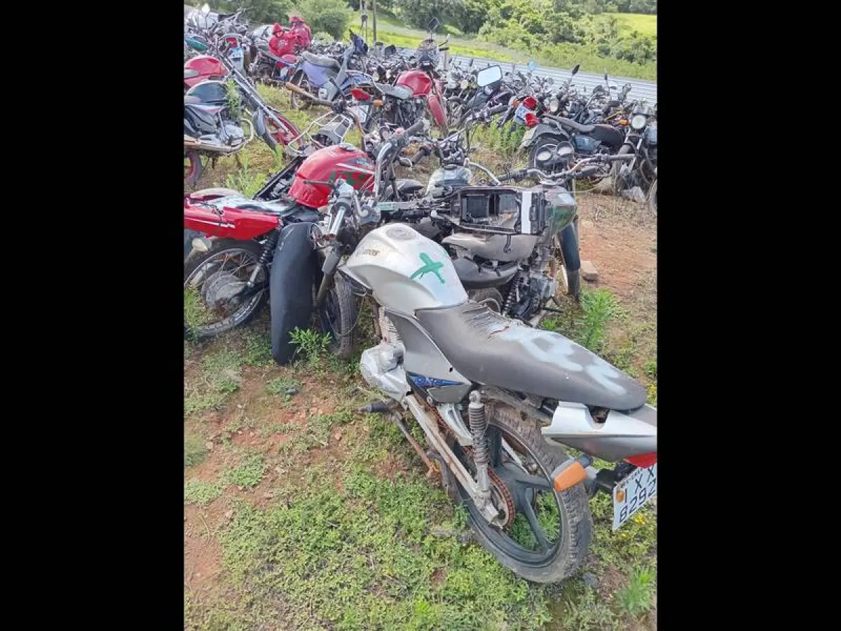 LOTE 0171