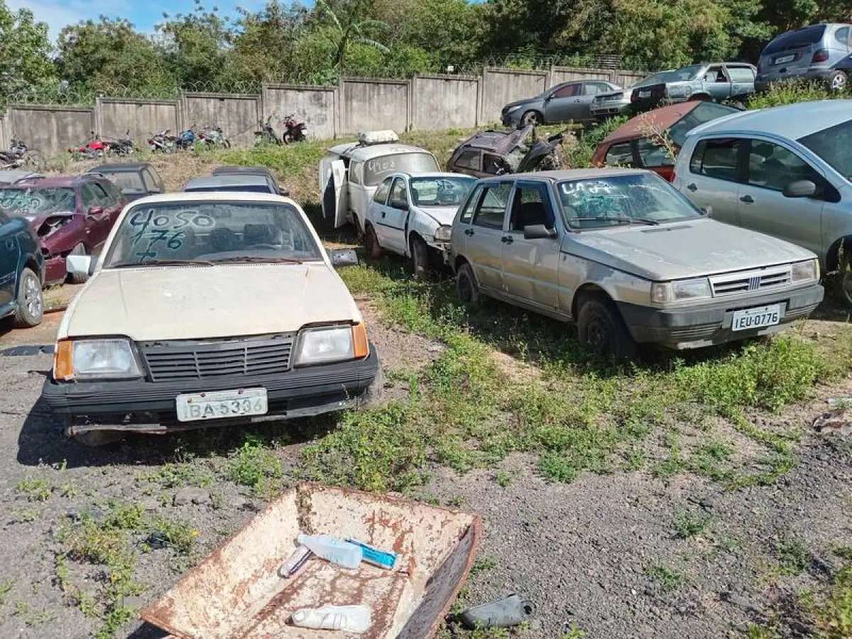 LOTE 0176