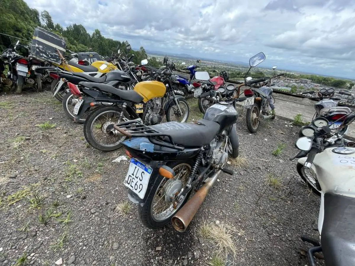 LOTE 0031