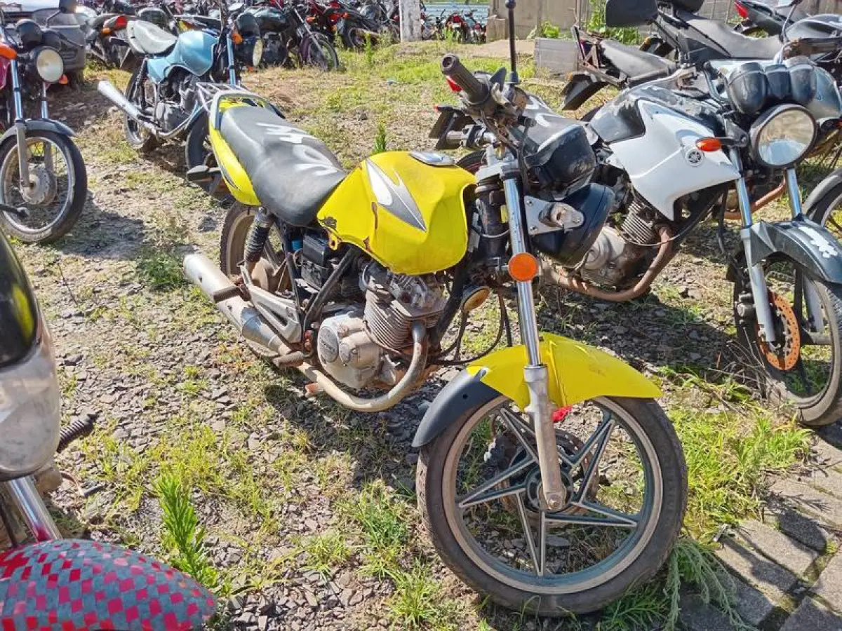 LOTE 0183