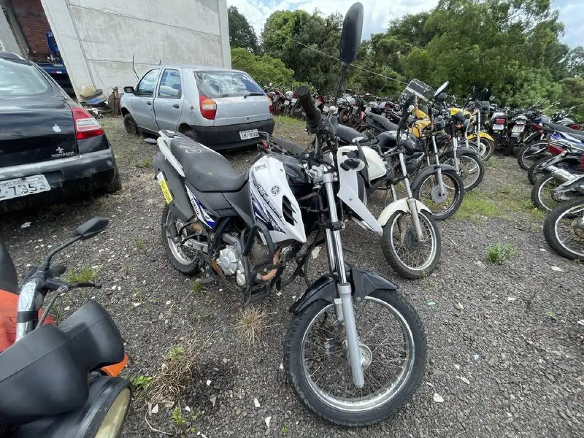 LOTE 0033