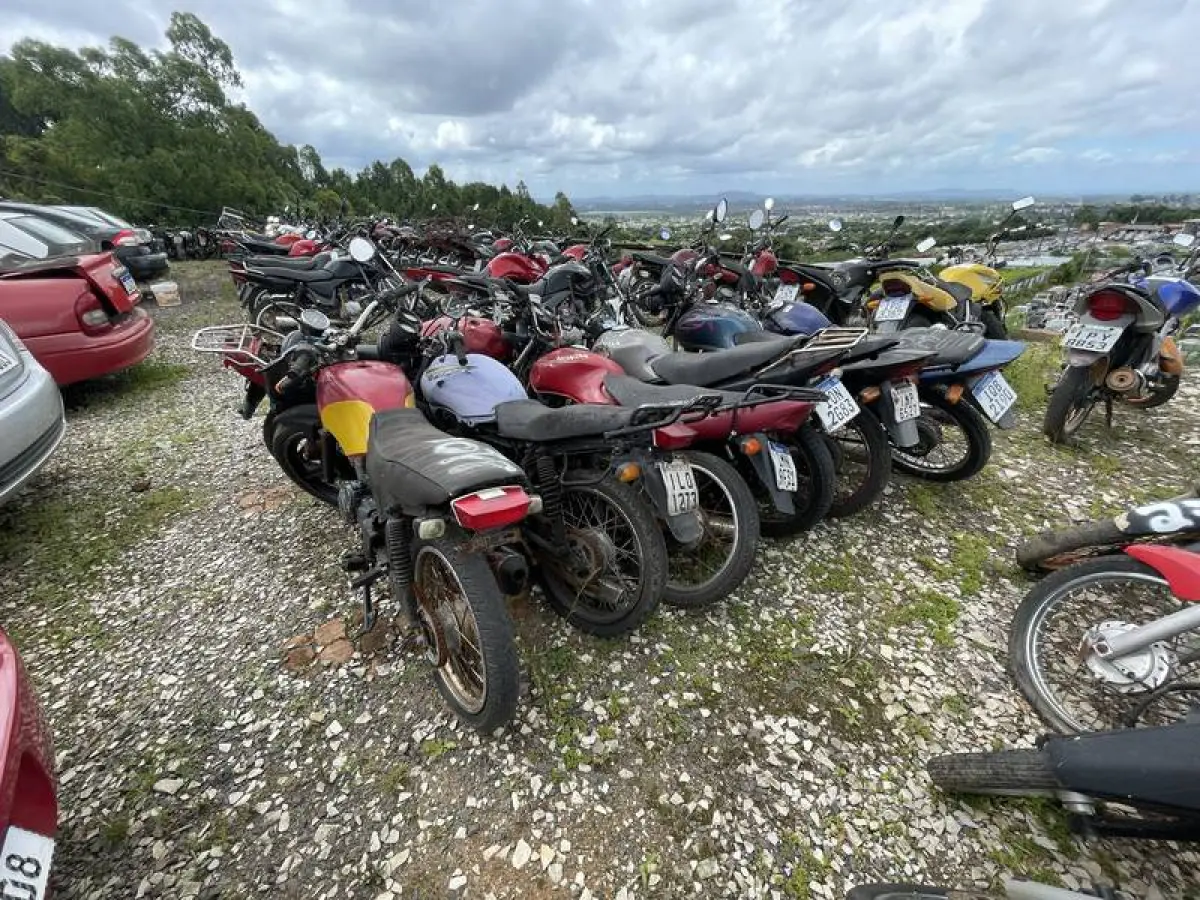 LOTE 0002