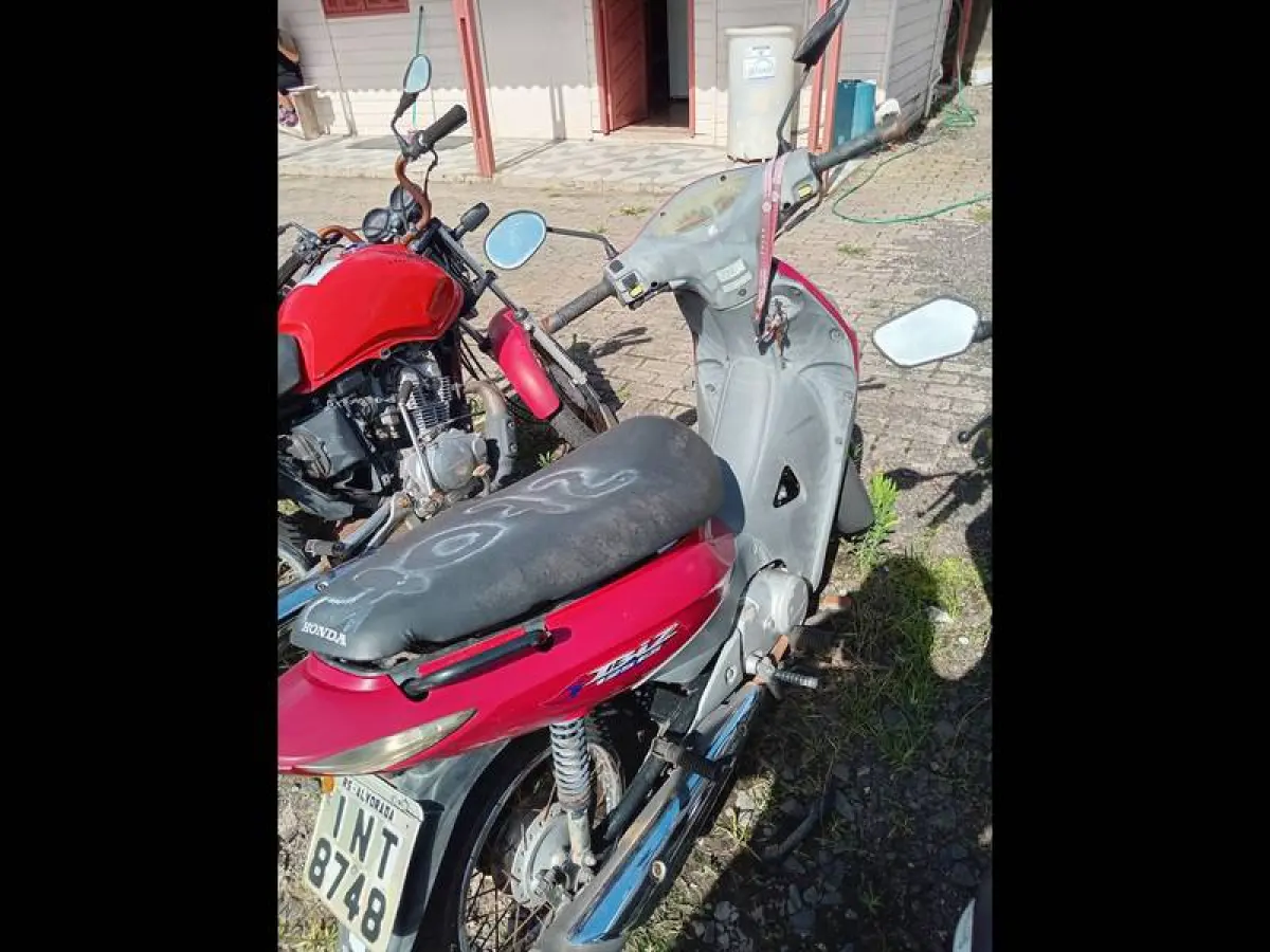 LOTE 0186