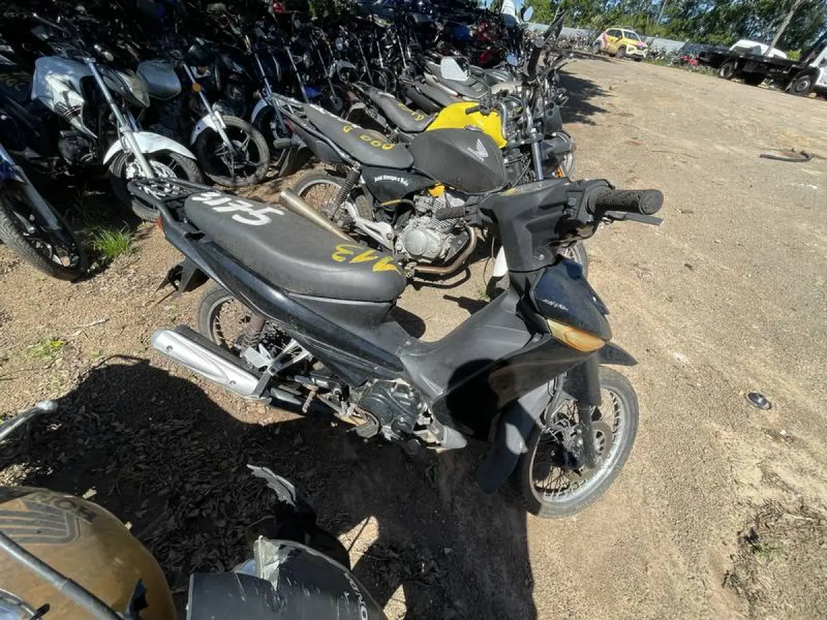 LOTE 0113