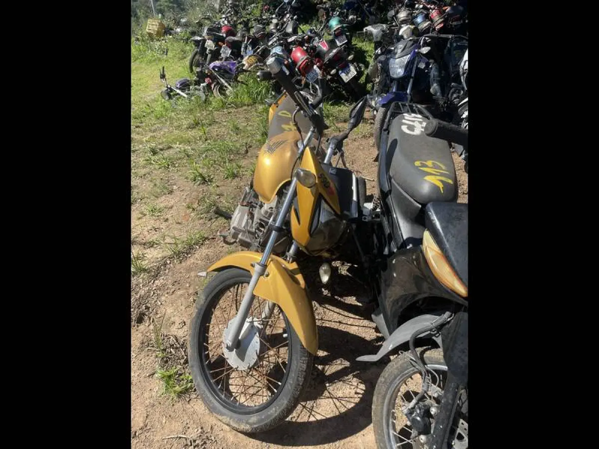 LOTE 0117