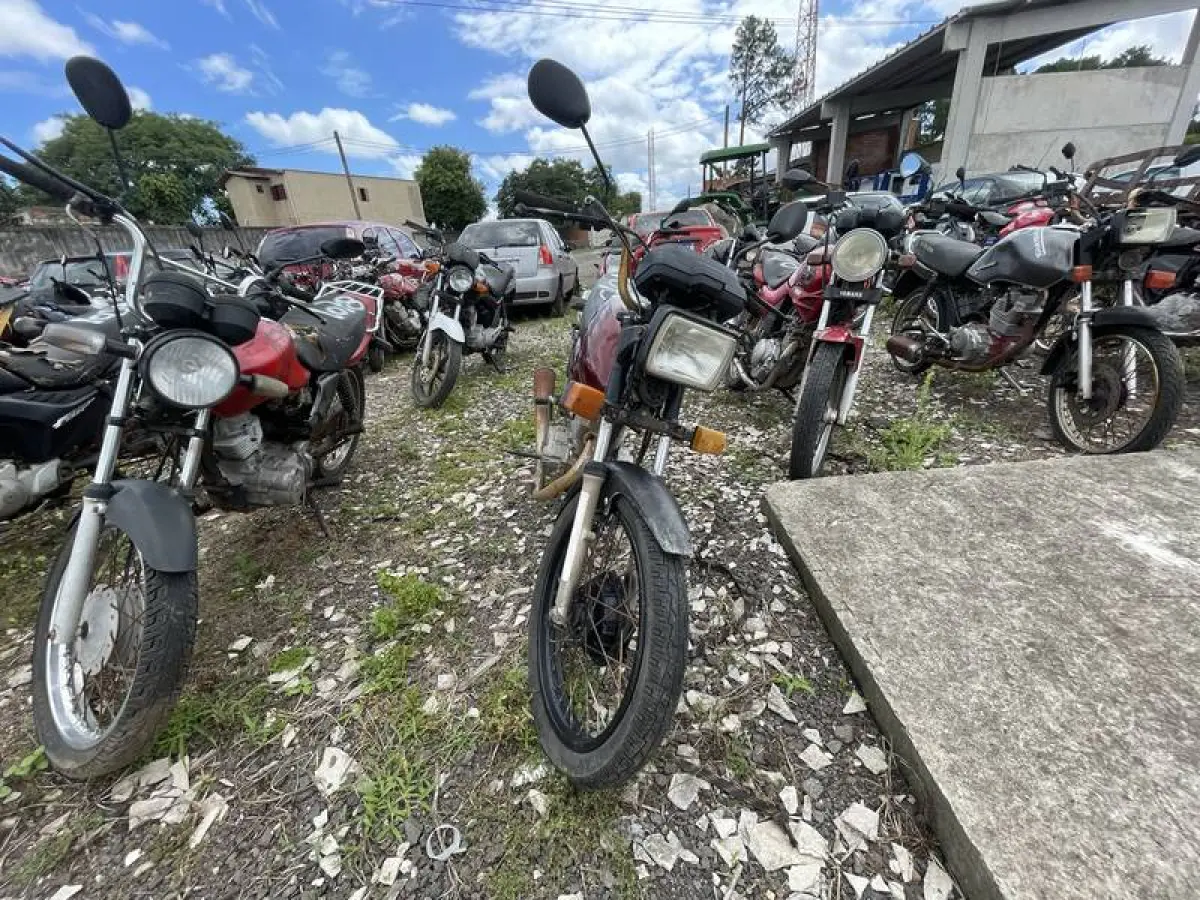 LOTE 0015