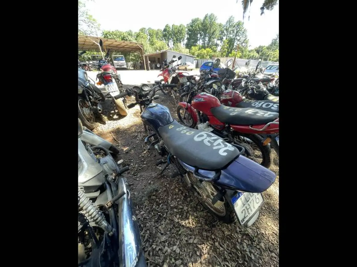 LOTE 0098