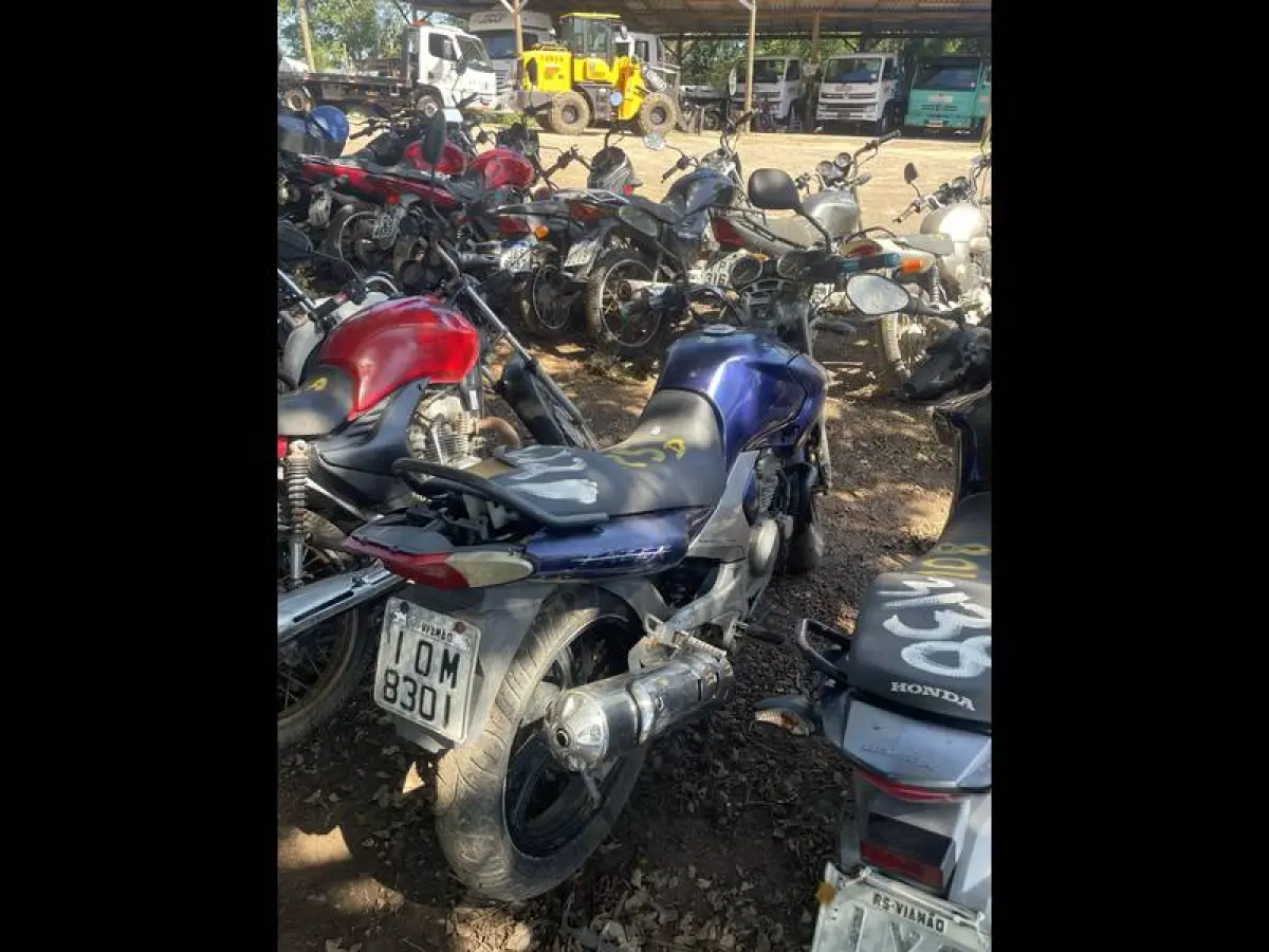 LOTE 0125