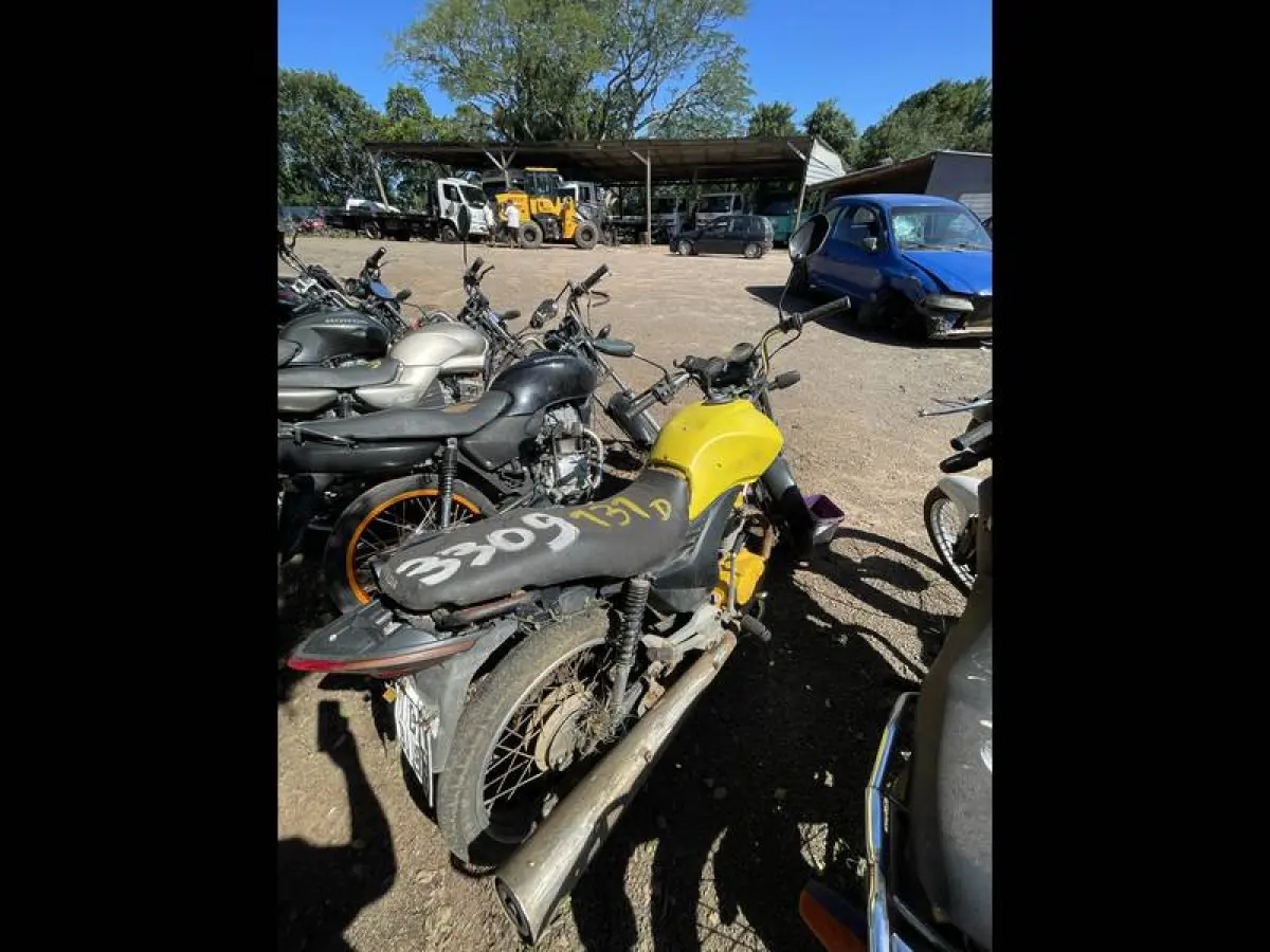 LOTE 0131