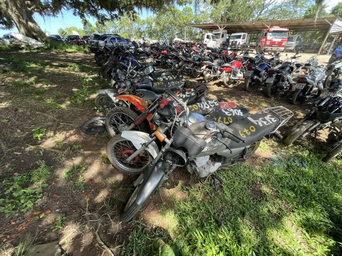 LOTE 0079