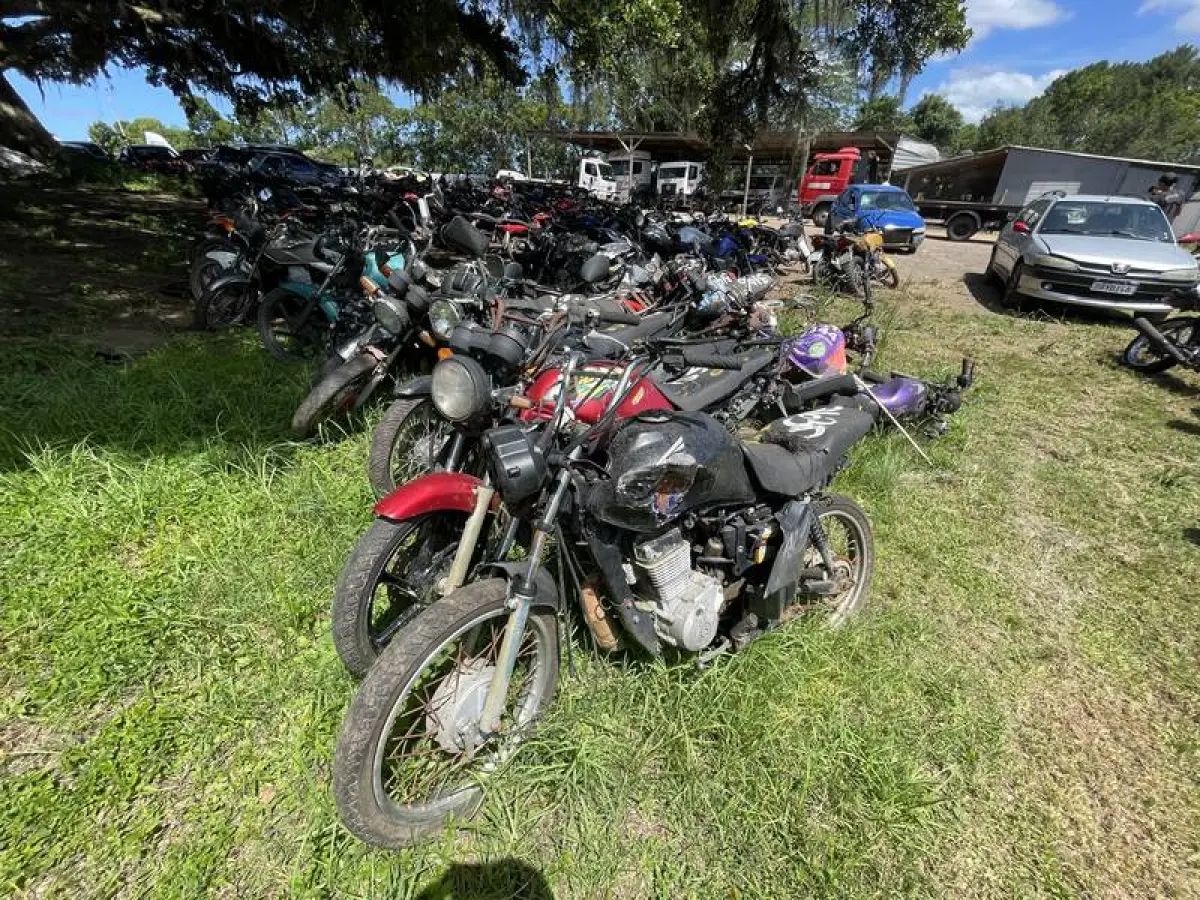 LOTE 0078