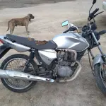 Foto 4