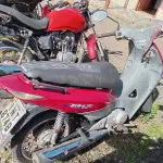 Foto 5
