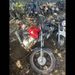Foto 6