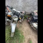 Foto 4